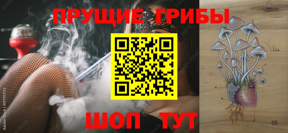Пугачёв  Псилоцибиновые грибы GOLDEN TEACHER  Вход с VPN 